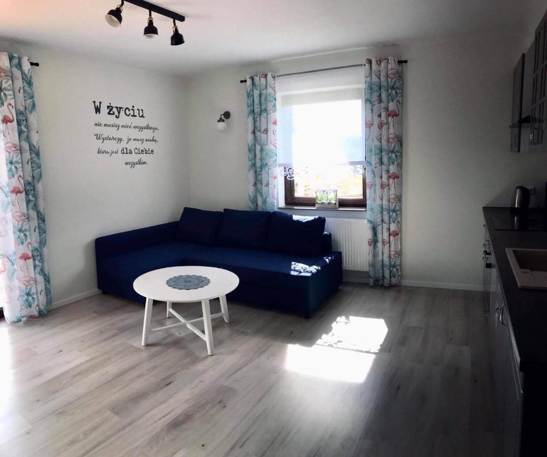 Apartament Przy Potoku Zubrzyca Gorna 外观 照片